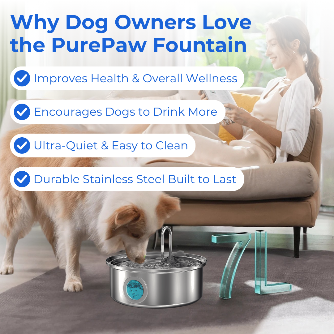 PurePaw™ Gesundheits- und Glücksbrunnen-Kit