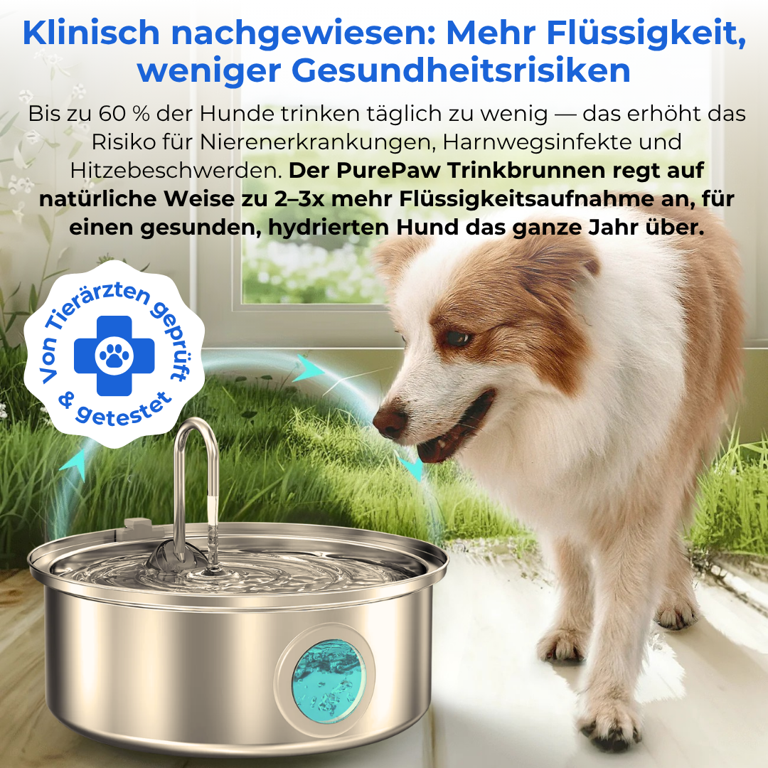 PurePaw™ Gesundheits- und Glücksbrunnen-Kit