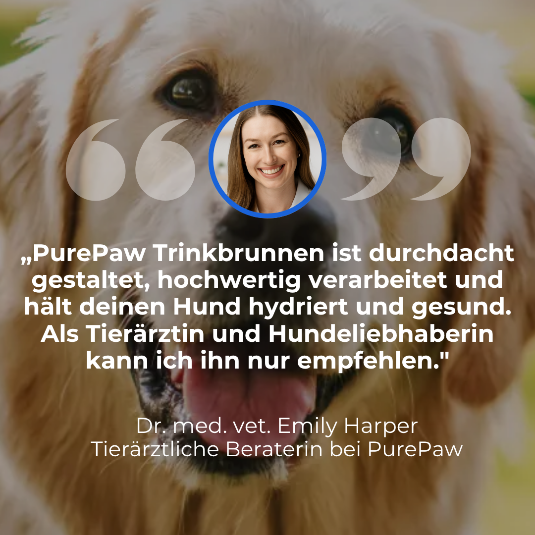 PurePaw™ Gesundheits- und Glücksbrunnen-Kit