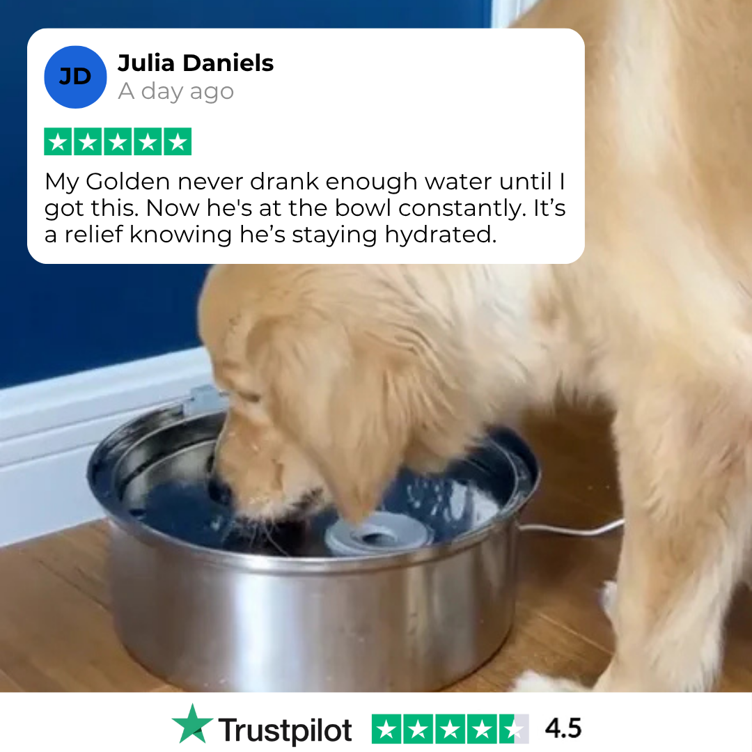 PurePaw™ Gesundheits- und Glücksbrunnen-Kit