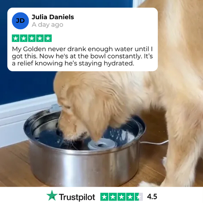 PurePaw™ Gesundheits- und Glücksbrunnen-Kit