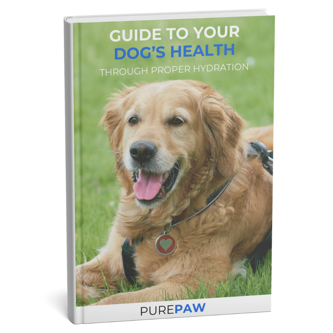 PurePaw™ Leitfaden für die Gesundheit der Flüssigkeitsversorgung