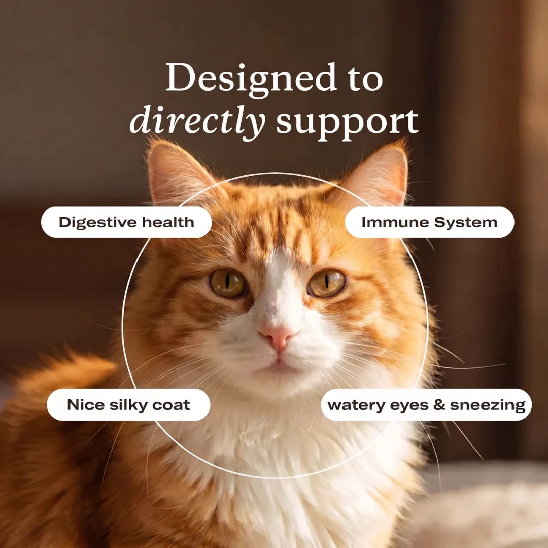 PurePaw™ Immun- & Augen-Support-Chews