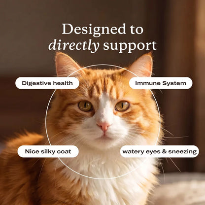 PurePaw™ Immun- & Augen-Support-Chews