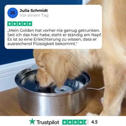 PurePaw™ Gesundheits- und Glücksbrunnen-Kit