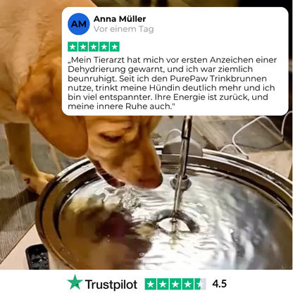 PurePaw™ Gesundheits- und Glücksbrunnen-Kit