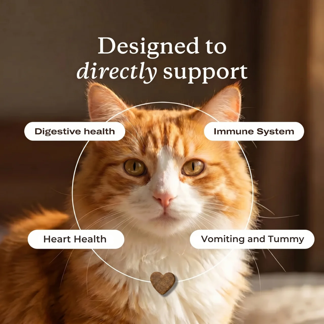 PurePaw™ Feline Darmgesundheits-Kaubonbons