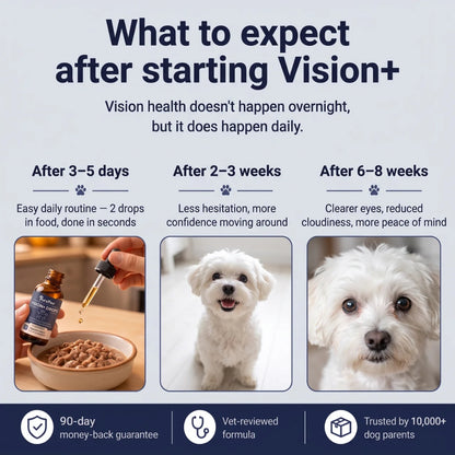 PurePaw™ Immun- & Augen-Support-Chews