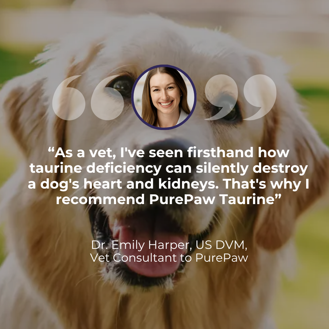 PurePaw™ Taurin