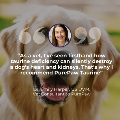 PurePaw™ Taurin