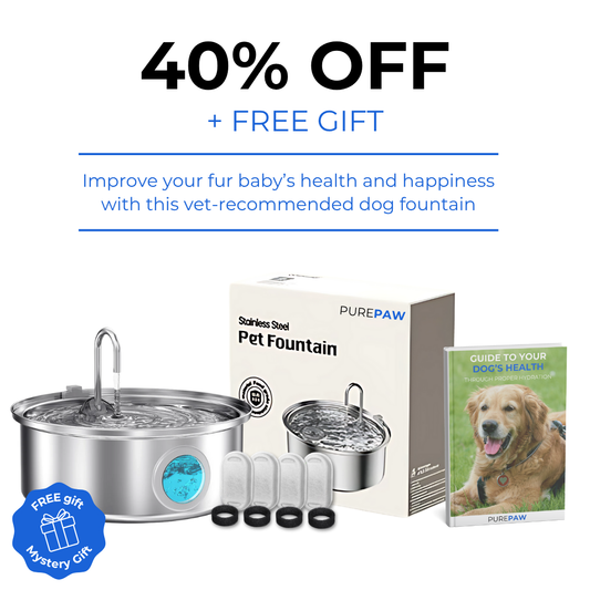 PurePaw™ Gesundheits- und Glücksbrunnen-Kit