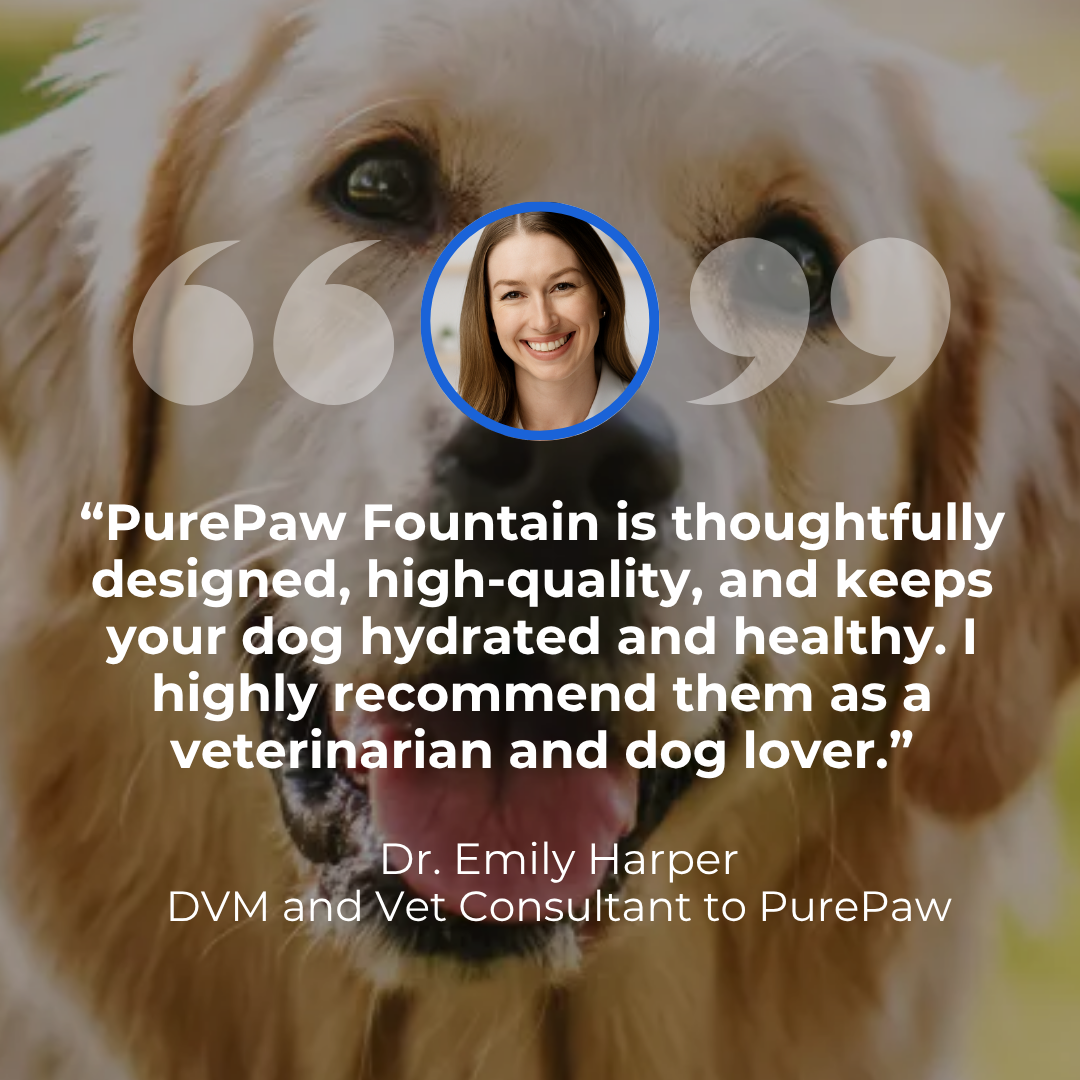 PurePaw™ Gesundheits- und Glücksbrunnen-Kit