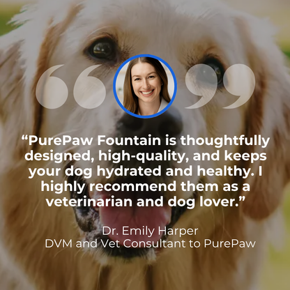 PurePaw™ Gesundheits- und Glücksbrunnen-Kit