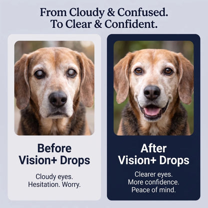 PurePaw™ Immun- & Augen-Support-Chews