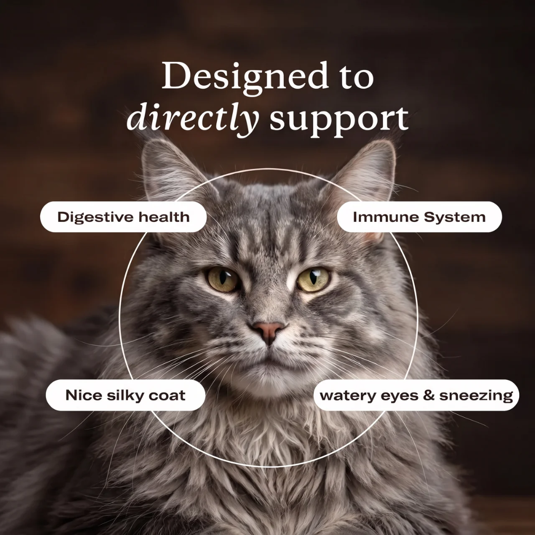 PurePaw™ Immun- & Augen-Support-Chews