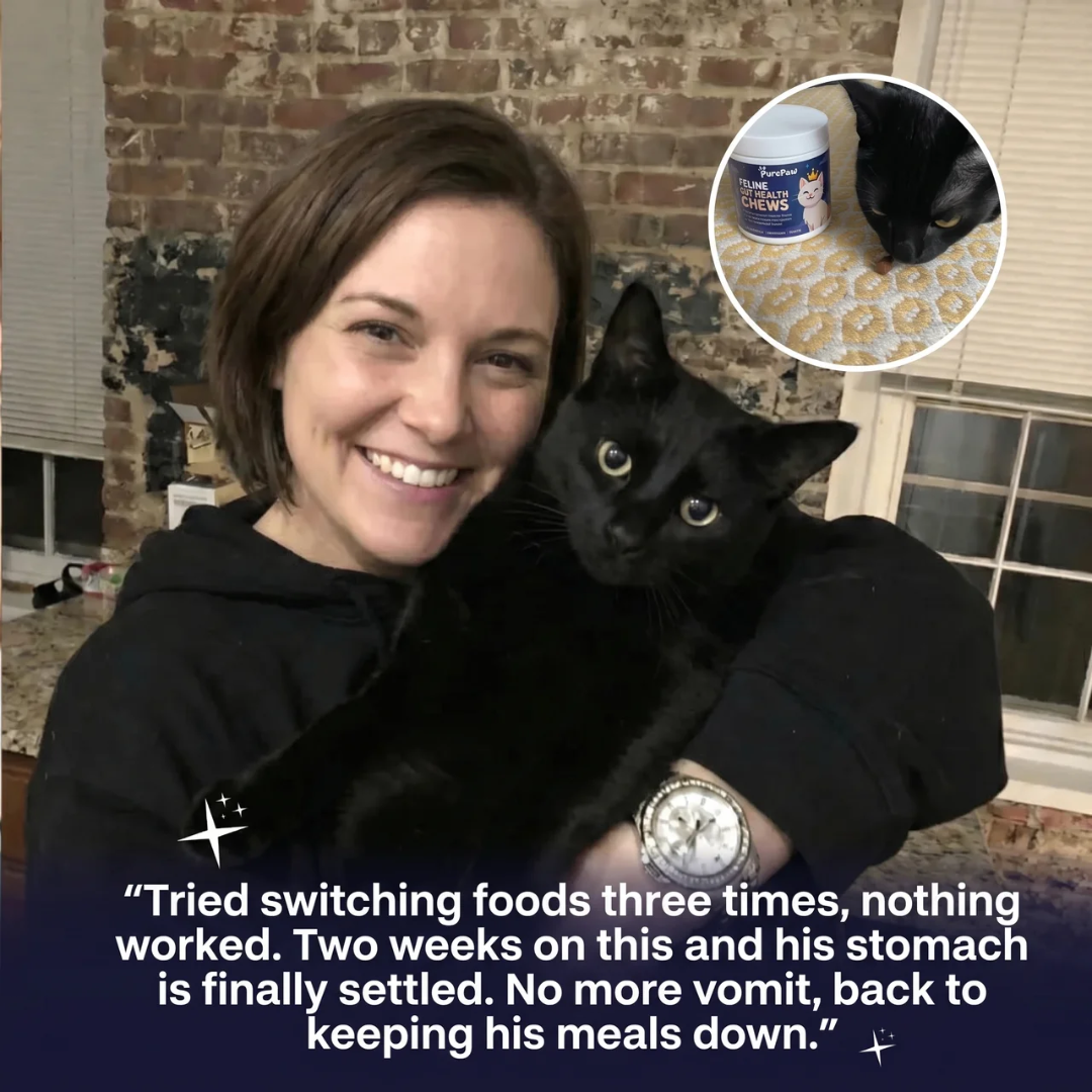 PurePaw™ Feline Darmgesundheits-Kaubonbons
