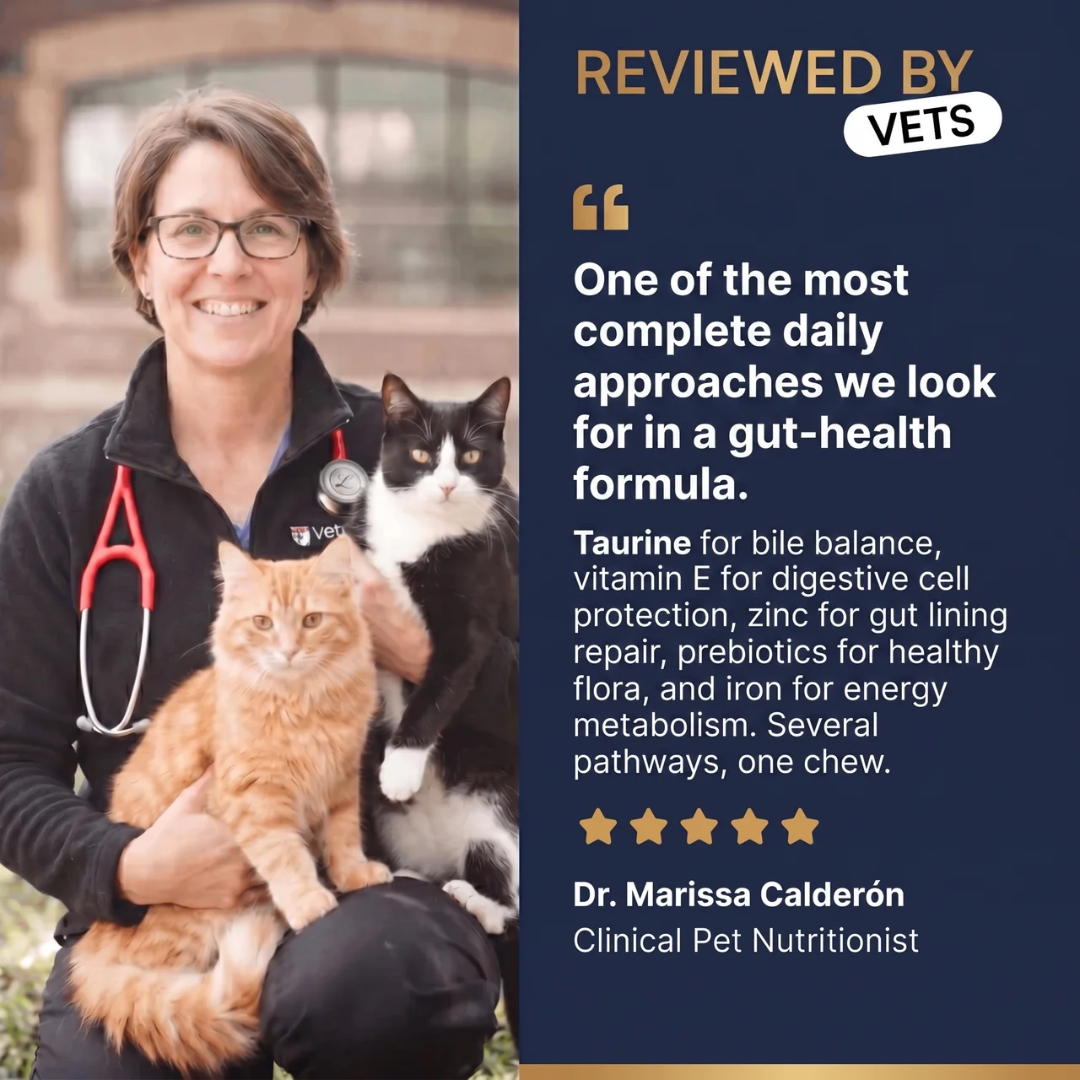 PurePaw™ Feline Darmgesundheits-Kaubonbons
