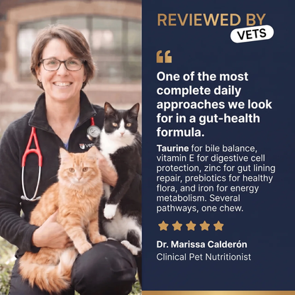 PurePaw™ Feline Darmgesundheits-Kaubonbons