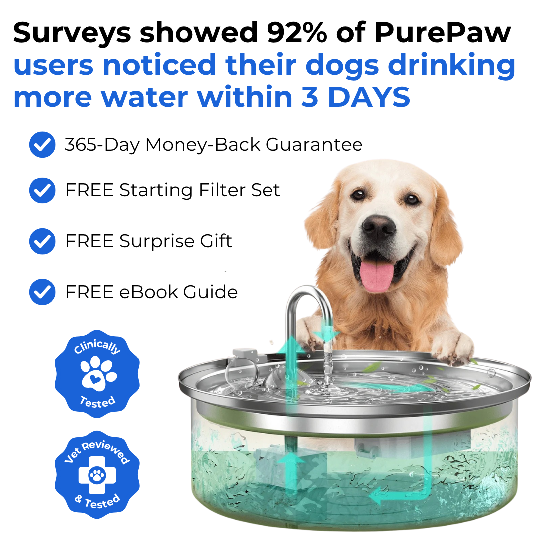 PurePaw™ Gesundheits- und Glücksbrunnen-Kit