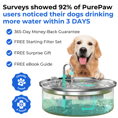 PurePaw™ Gesundheits- und Glücksbrunnen-Kit