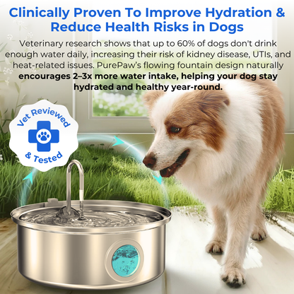 PurePaw™ Gesundheits- und Glücksbrunnen-Kit